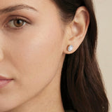 Rapture oval zirconia stud earrings (gold)