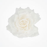 Grace ivory silk hair flower clip - Liberty in Love