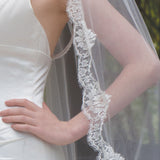 Spellbinder lace edged tulle veil - Liberty in Love